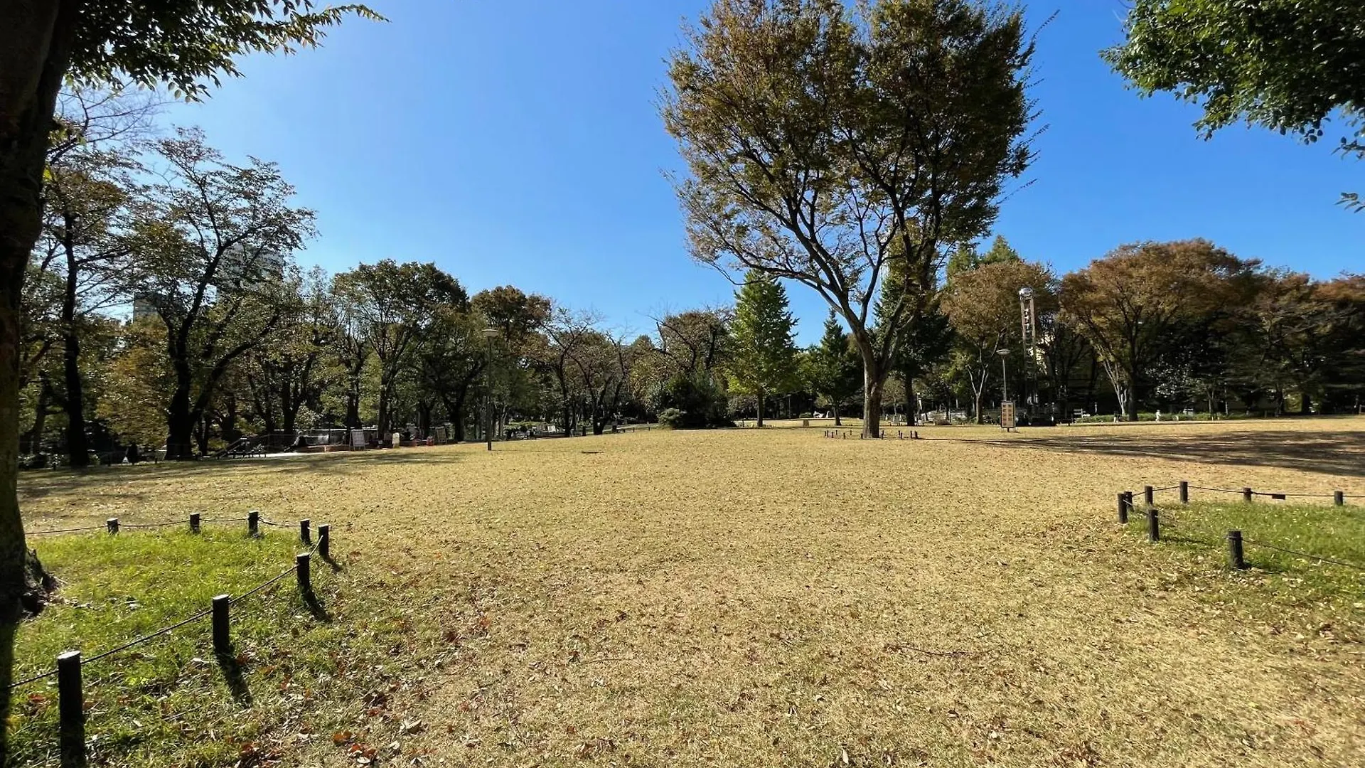 Max4People Shinjuku 7Minutes Shibuya12 Minutes 5Minutes Walk From Hatsudai Station Leon Resort Shibuya Tokyo Japan
